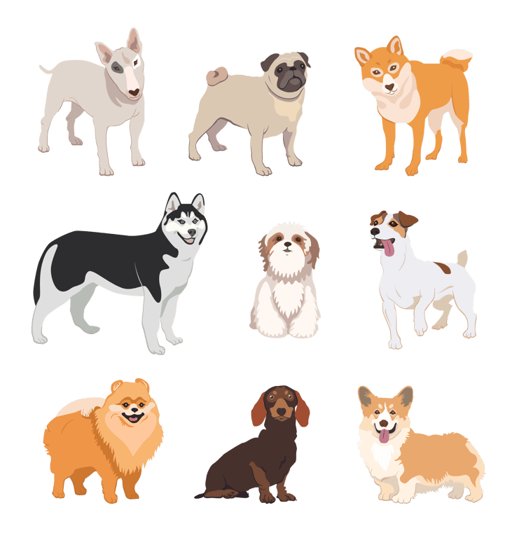 Different dog breeds illustration